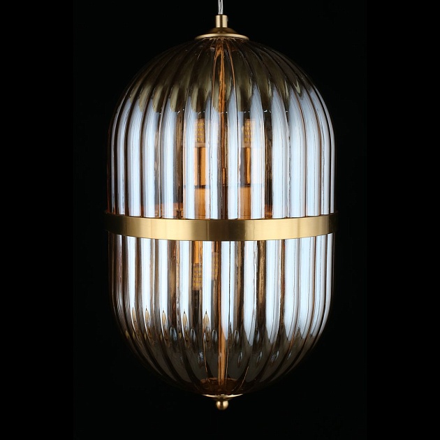 Подвесной светильник Aployt Ludovica APL.860.06.30 Фото № 6