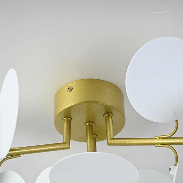 Потолочная люстра Imperium Loft Matisse 167195-26 Фото № 9