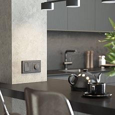 Диммер Werkel W1142064 4690389194399 3