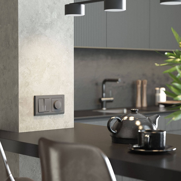 Диммер Werkel W1142064 4690389194399 Фото № 4