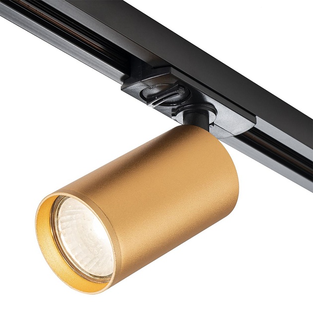 Трековый светильник Escada 20001TRA/01 BR Фото № 4