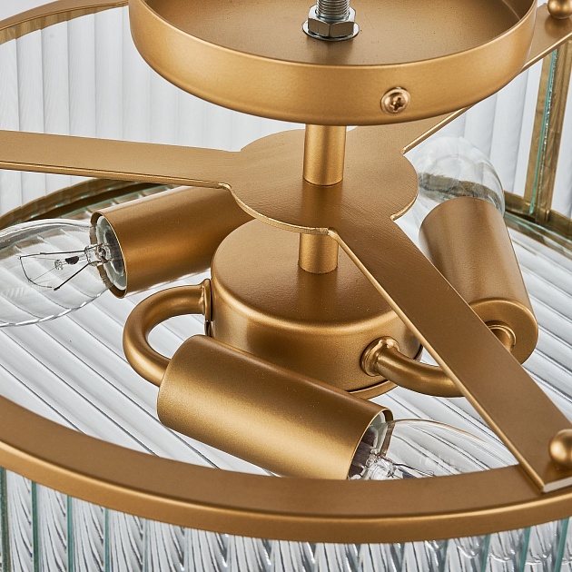 Потолочная люстра Favourite Radiales 3099-3C изображение 7 Потолочная люстра Favourite Radiales 3099-3C Фото № 7