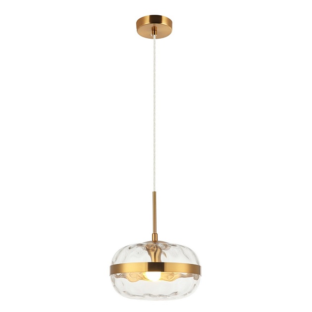 Подвесной светильник Aployt Gabriela APL.305.06.01 Фото № 1