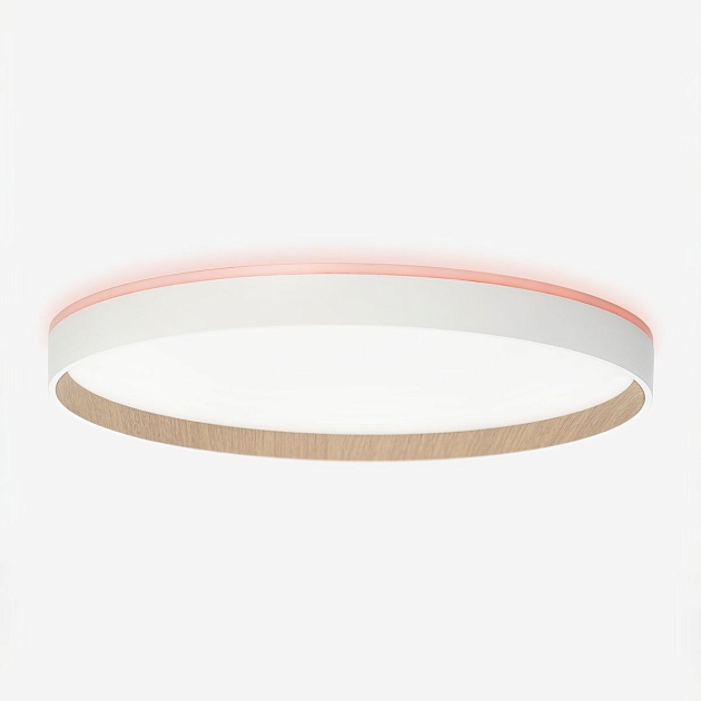 Потолочный светодиодный светильник Citilux Etalon CL750400R Фото № 13