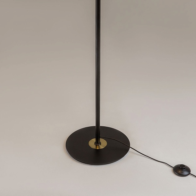 Торшер Maytoni MOD348FL-L24BBS3K изображение 4 Торшер Maytoni MOD348FL-L24BBS3K Фото № 4