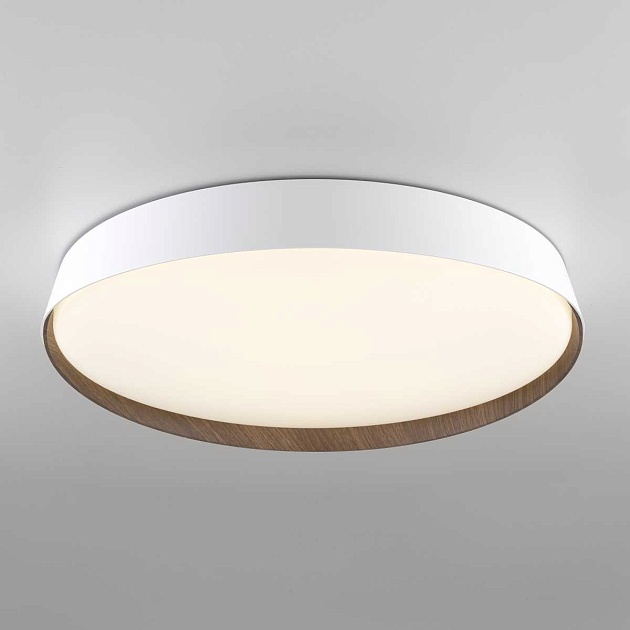 Потолочный светодиодный светильник Citilux Bonny CL754450G Фото № 12