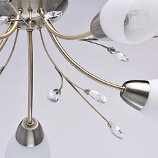 Потолочная люстра MW-Light 356012905 2