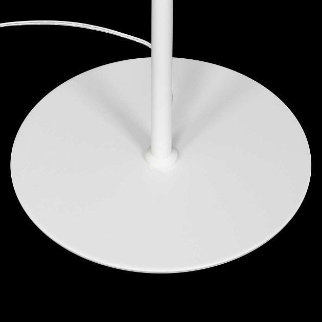 Торшер Citilux CL809010N Фото № 5