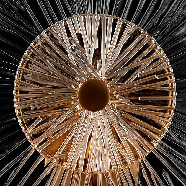 Настенный светильник Maytoni Aster MOD007WL-01G Фото № 13