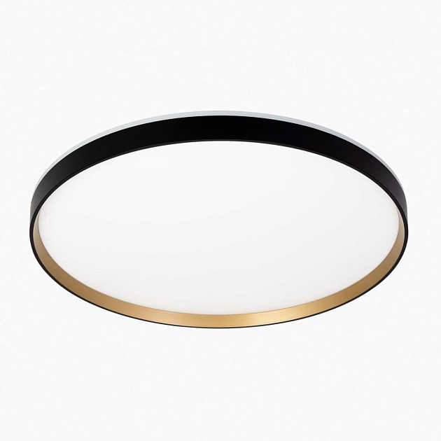 Светильник с пультом Citilux ETALON CL750501R Фото № 17