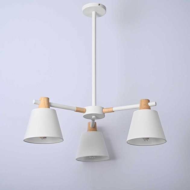 Подвесная люстра Imperium Loft Natura 101826-26 Фото № 7