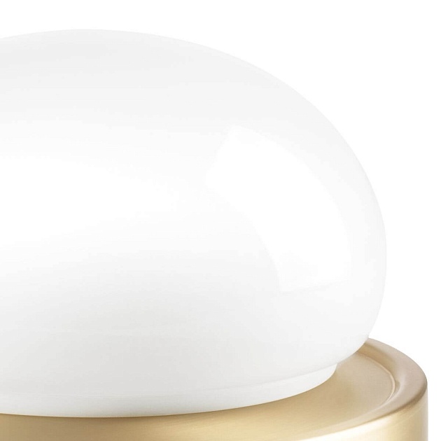 Настольная лампа Lightstar Alfa 745933 изображение 3 Настольная лампа Lightstar Alfa 745933 Фото № 3