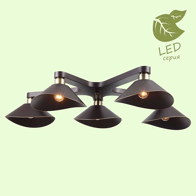 Потолочная люстра Lussole Loft Opelika GRLSP-9535 Фото № 5