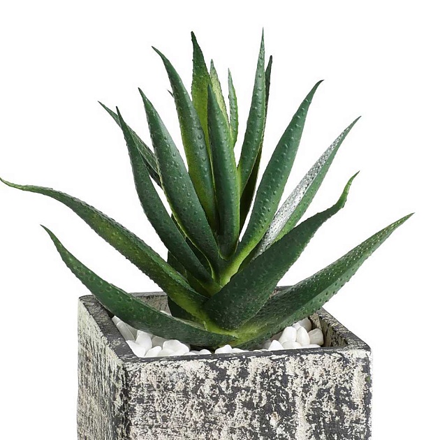 Искусственное растение Eglo CHITOSE 428008 Фото № 4