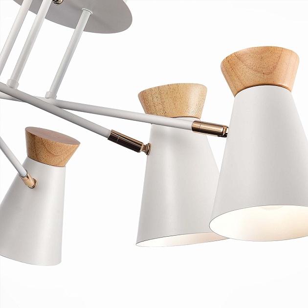 Потолочная люстра Evoluce Alfeo SLE1252-502-06 изображение 2 Потолочная люстра Evoluce Alfeo SLE1252-502-06 Фото № 2