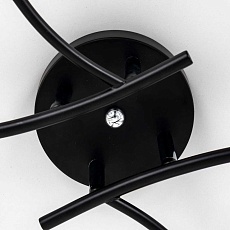 Потолочная люстра Citilux Флорида CL148165 3