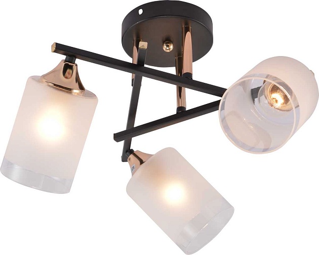 Потолочная люстра Rivoli Fiona 3163-303 Б0059259 изображение 5 Потолочная люстра Rivoli Fiona 3163-303 Б0059259 Фото № 5