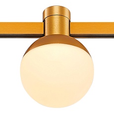 Трековый светодиодный светильник ST Luce Farm ST815.206.05 3