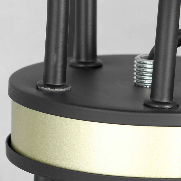 Подвесная люстра Lussole Lgo Roosevelt LSP-8198 изображение 4 Подвесная люстра Lussole Lgo Roosevelt LSP-8198 Фото № 4