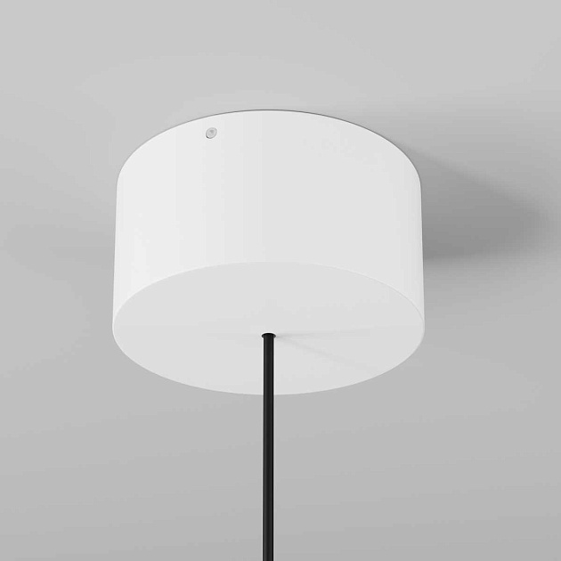 Подвесной светильник Maytoni Outdoor O491PL-L8W3K Фото № 10