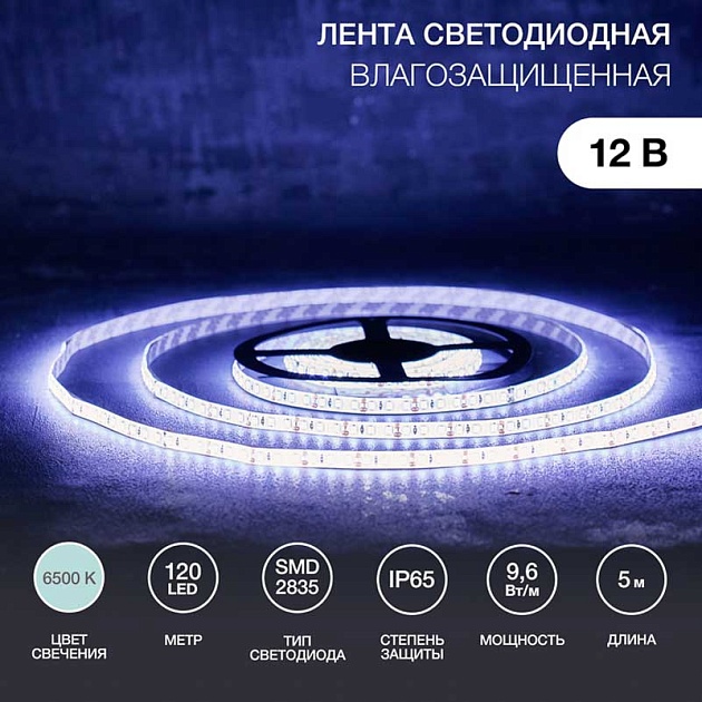 Светодиодная лента LAMPER 141-365 Фото № 1