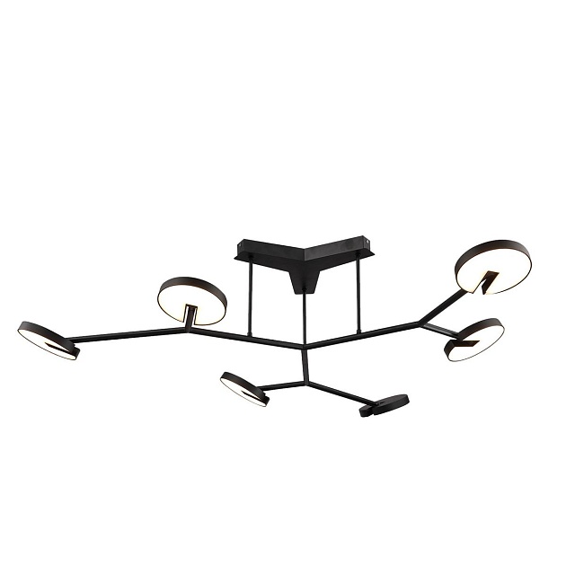 Потолочная светодиодная люстра Favourite Paritet 4401-6C Фото № 1