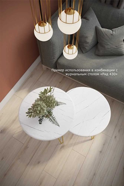 Журнальный стол Мебелик Рид Голд 430 006693 Фото № 6