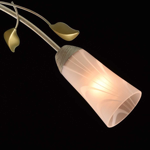 Потолочная люстра MW-Light Восторг 242015306 Фото № 3