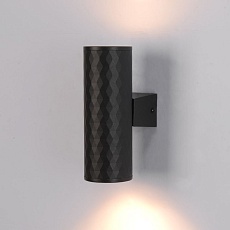 Уличный настенный светильник Arte Lamp Hyadum A3458AL-2BK 1