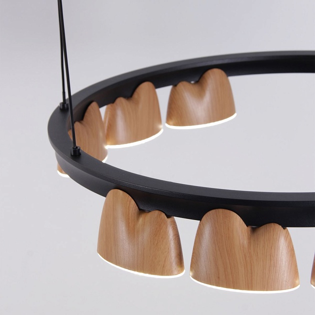 Подвесная светодиодная люстра Favourite Interline 4266-21P Фото № 7