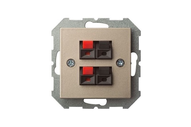 Аудиорозетка двойная Liregus Epsilon шампань 28-3241 изображение 2 Аудиорозетка двойная Liregus Epsilon шампань 28-3241 Фото № 2