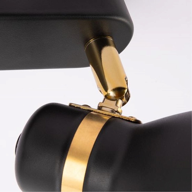 Спот Arte Lamp Fafnir A5047PL-2BK изображение 2 Спот Arte Lamp Fafnir A5047PL-2BK Фото № 2