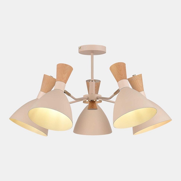 Потолочная люстра Evoluce Vista SLE1256-502-05 изображение 1 Потолочная люстра Evoluce Vista SLE1256-502-05 Фото № 1