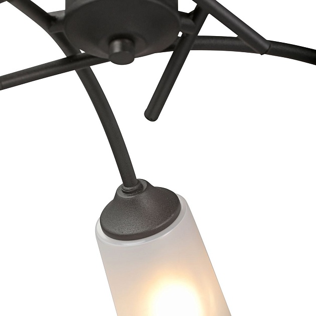 Потолочная люстра Vitaluce V2850-1/5PL Фото № 3