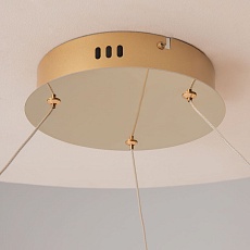 Подвесная светодиодная люстра Maytoni Tessara MOD081PL-L60G3K 2