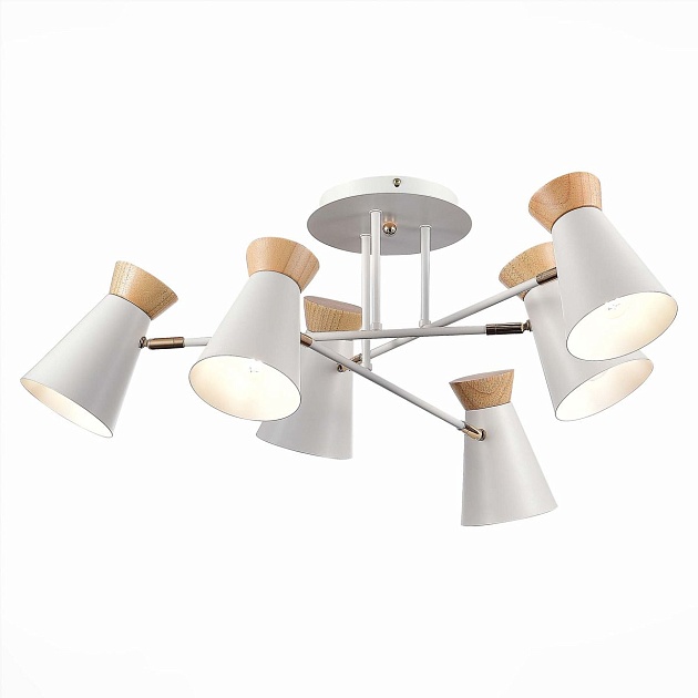 Потолочная люстра Evoluce Alfeo SLE1252-502-06 изображение 1 Потолочная люстра Evoluce Alfeo SLE1252-502-06 Фото № 1