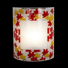 Настенный светильник Citilux Осень CL921008 5